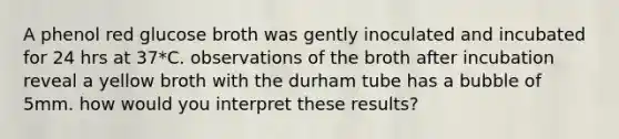 A phenol red glucose broth was gently inoculated and incubated for 24 hrs at 37*C. observations of the broth after incubation reveal a yellow broth with the durham tube has a bubble of 5mm. how would you interpret these results?