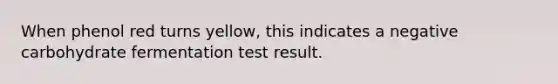 When phenol red turns yellow, this indicates a negative carbohydrate fermentation test result.