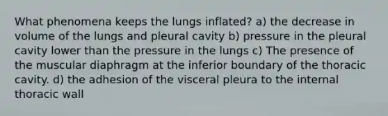 What phenomena keeps the lungs inflated? a) the decrease in volume of the lungs and pleural cavity b) pressure in the pleural cavity lower than the pressure in the lungs c) The presence of the muscular diaphragm at the inferior boundary of the thoracic cavity. d) the adhesion of the visceral pleura to the internal thoracic wall