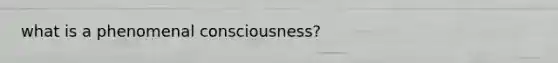 what is a phenomenal consciousness?