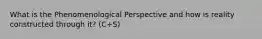 What is the Phenomenological Perspective and how is reality constructed through it? (C+S)