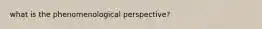 what is the phenomenological perspective?