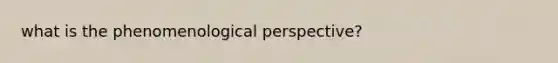 what is the phenomenological perspective?