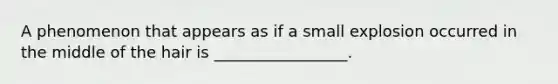 A phenomenon that appears as if a small explosion occurred in the middle of the hair is _________________.