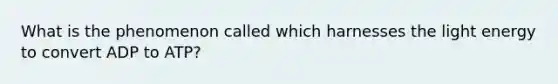 What is the phenomenon called which harnesses the light energy to convert ADP to ATP?