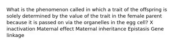 What is the phenomenon called in which a trait of the offspring is solely determined by the value of the trait in the female parent because it is passed on via the organelles in the egg cell? X inactivation Maternal effect Maternal inheritance Epistasis Gene linkage