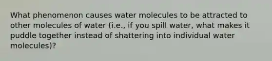 What phenomenon causes water molecules to be attracted to other molecules of water (i.e., if you spill water, what makes it puddle together instead of shattering into individual water molecules)?