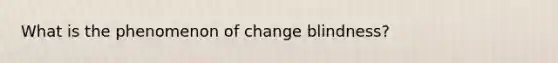 What is the phenomenon of change blindness?