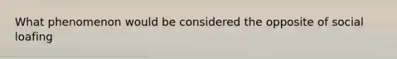 What phenomenon would be considered the opposite of social loafing
