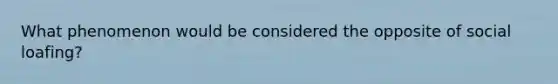 What phenomenon would be considered the opposite of social loafing?