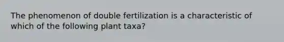 The phenomenon of double fertilization is a characteristic of which of the following plant taxa?