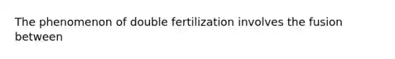 The phenomenon of double fertilization involves the fusion between