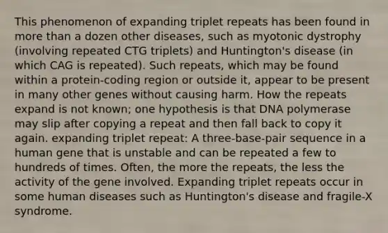 This phenomenon of expanding triplet repeats has been found in <a href='https://www.questionai.com/knowledge/keWHlEPx42-more-than' class='anchor-knowledge'>more than</a> a dozen other diseases, such as myotonic dystrophy (involving repeated CTG triplets) and Huntington's disease (in which CAG is repeated). Such repeats, which may be found within a protein-coding region or outside it, appear to be present in many other genes without causing harm. How the repeats expand is not known; one hypothesis is that DNA polymerase may slip after copying a repeat and then fall back to copy it again. expanding triplet repeat: A three-base-pair sequence in a human gene that is unstable and can be repeated a few to hundreds of times. Often, the more the repeats, the less the activity of the gene involved. Expanding triplet repeats occur in some human diseases such as Huntington's disease and fragile-X syndrome.