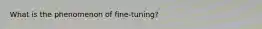 What is the phenomenon of fine-tuning?