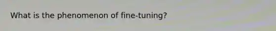 What is the phenomenon of fine-tuning?