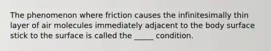 The phenomenon where friction causes the infinitesimally thin layer of air molecules immediately adjacent to the body surface stick to the surface is called the _____ condition.