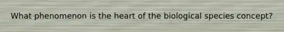 What phenomenon is the heart of the biological species concept?