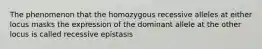 The phenomenon that the homozygous recessive alleles at either locus masks the expression of the dominant allele at the other locus is called recessive epistasis