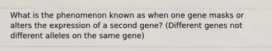 What is the phenomenon known as when one gene masks or alters the expression of a second gene? (Different genes not different alleles on the same gene)