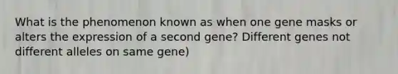 What is the phenomenon known as when one gene masks or alters the expression of a second gene? Different genes not different alleles on same gene)