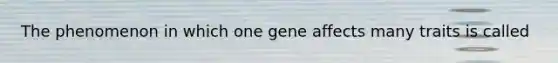 The phenomenon in which one gene affects many traits is called