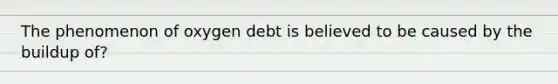 The phenomenon of oxygen debt is believed to be caused by the buildup of?