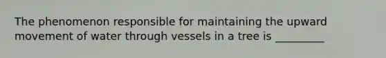 The phenomenon responsible for maintaining the upward movement of water through vessels in a tree is _________
