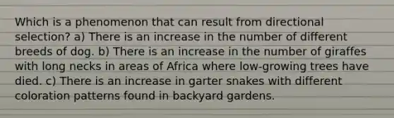 Which is a phenomenon that can result from directional selection? a) There is an increase in the number of different breeds of dog. b) There is an increase in the number of giraffes with long necks in areas of Africa where low-growing trees have died. c) There is an increase in garter snakes with different coloration patterns found in backyard gardens.