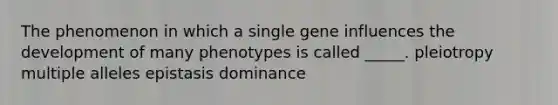 The phenomenon in which a single gene influences the development of many phenotypes is called _____. pleiotropy multiple alleles epistasis dominance