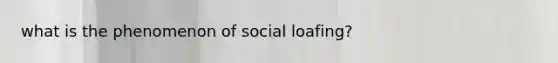 what is the phenomenon of social loafing?