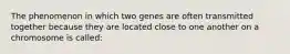 The phenomenon in which two genes are often transmitted together because they are located close to one another on a chromosome is called: