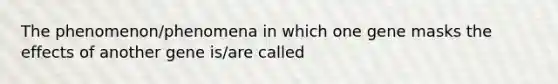 The phenomenon/phenomena in which one gene masks the effects of another gene is/are called