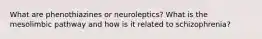 What are phenothiazines or neuroleptics? What is the mesolimbic pathway and how is it related to schizophrenia?