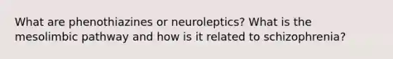 What are phenothiazines or neuroleptics? What is the mesolimbic pathway and how is it related to schizophrenia?