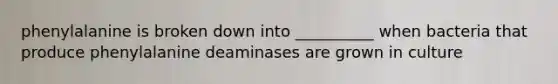 phenylalanine is broken down into __________ when bacteria that produce phenylalanine deaminases are grown in culture