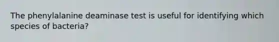 The phenylalanine deaminase test is useful for identifying which species of bacteria?