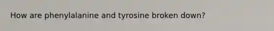 How are phenylalanine and tyrosine broken down?