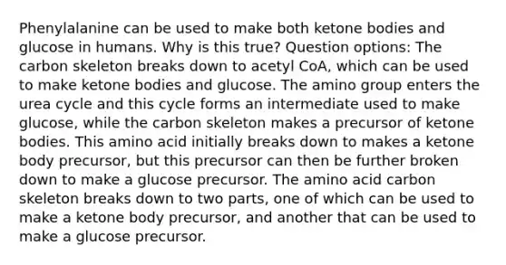 Phenylalanine can be used to make both ketone bodies and glucose in humans. Why is this true? Question options: The carbon skeleton breaks down to acetyl CoA, which can be used to make ketone bodies and glucose. The amino group enters the urea cycle and this cycle forms an intermediate used to make glucose, while the carbon skeleton makes a precursor of ketone bodies. This amino acid initially breaks down to makes a ketone body precursor, but this precursor can then be further broken down to make a glucose precursor. The amino acid carbon skeleton breaks down to two parts, one of which can be used to make a ketone body precursor, and another that can be used to make a glucose precursor.