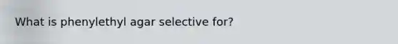 What is phenylethyl agar selective for?