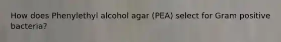 How does Phenylethyl alcohol agar (PEA) select for Gram positive bacteria?