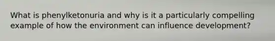 What is phenylketonuria and why is it a particularly compelling example of how the environment can influence development?