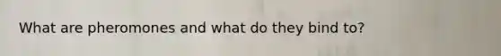 What are pheromones and what do they bind to?