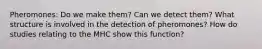 Pheromones: Do we make them? Can we detect them? What structure is involved in the detection of pheromones? How do studies relating to the MHC show this function?