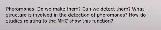 Pheromones: Do we make them? Can we detect them? What structure is involved in the detection of pheromones? How do studies relating to the MHC show this function?