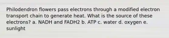 Philodendron flowers pass electrons through a modified electron transport chain to generate heat. What is the source of these electrons? a. NADH and FADH2 b. ATP c. water d. oxygen e. sunlight