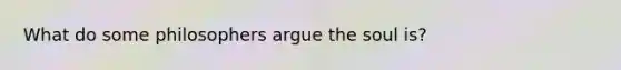 What do some philosophers argue the soul is?