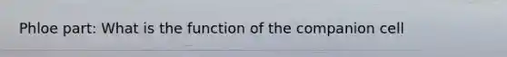 Phloe part: What is the function of the companion cell