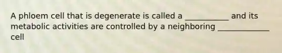 A phloem cell that is degenerate is called a ___________ and its metabolic activities are controlled by a neighboring _____________ cell