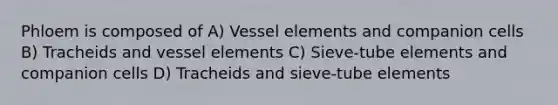 Phloem is composed of A) Vessel elements and companion cells B) Tracheids and vessel elements C) Sieve-tube elements and companion cells D) Tracheids and sieve-tube elements