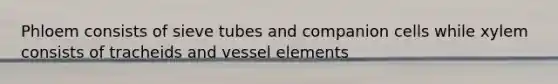 Phloem consists of sieve tubes and companion cells while xylem consists of tracheids and vessel elements